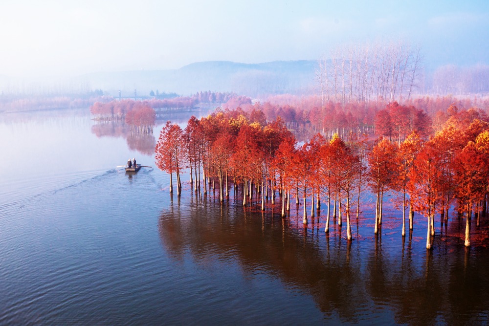 Modern China-China Travel-Floating Forests-Jiangsu Huai'an Tianquan Lake