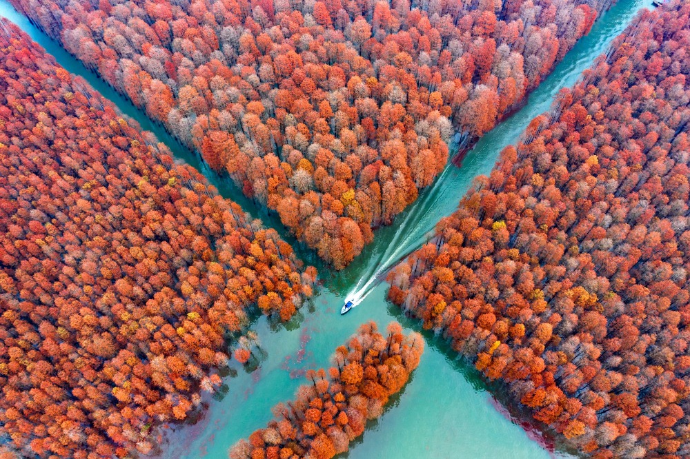 Modern China-China Travel-Floating Forests-Hubei Zhaoxiyuan Forest Farm