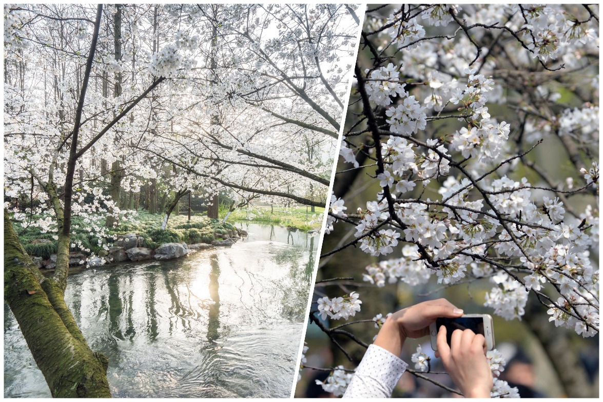 當代中國-中國旅遊-杭州-太子灣公園