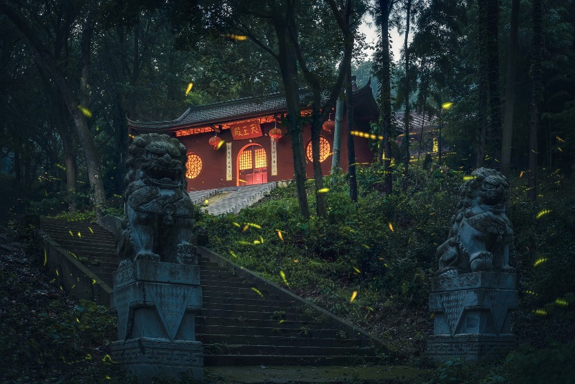當代中國-潮遊生活-旅遊風物-中國旅遊-螢火蟲觀賞地-南京兜率寺