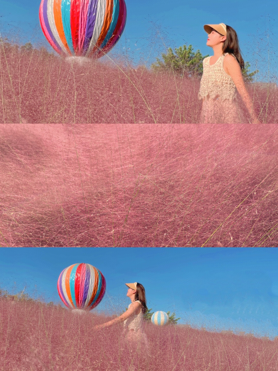 Pink Muhly Grass in Chengdu Music Flower Valley Pink Muhly Grass in Chengdu Music Flower Valley