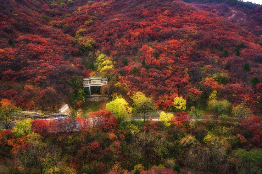 山東濟南紅葉谷