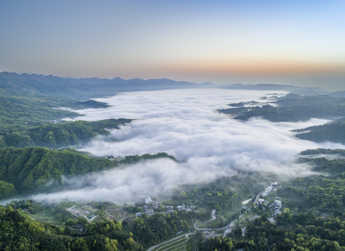 四川雅安碧峰峡景区