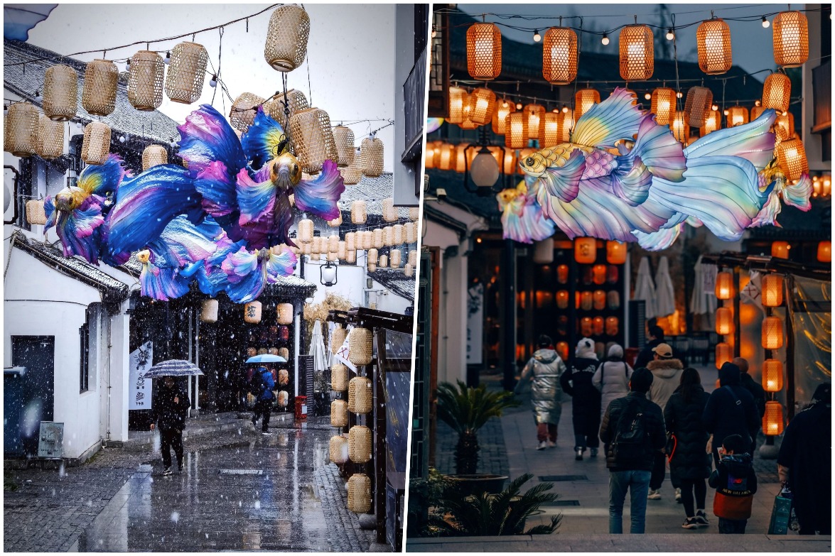 蘇州山塘街魚燈2024