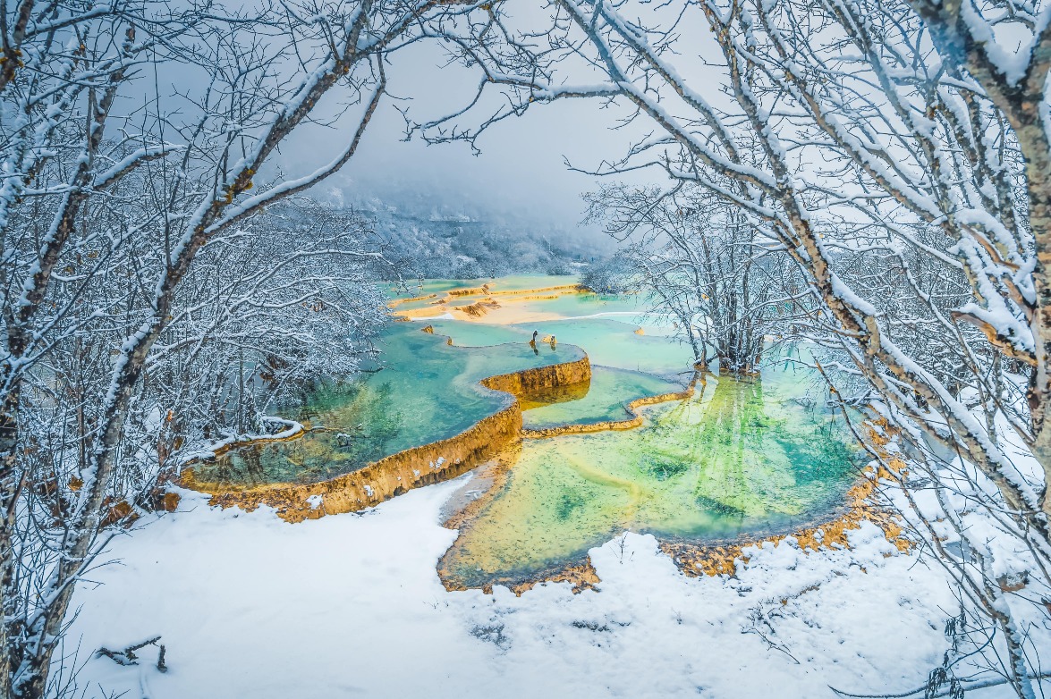 四川九寨溝 初雪的九寨溝,換上了閃亮的銀裝,湖泊隨着光線變化而泛着交錯的碧藍色和翠綠色、宛如走進了一個雪國森林一樣,神秘又夢幻。