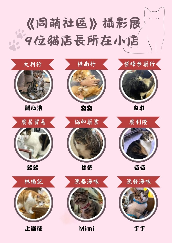 《同萌社區》攝影展9位貓店長 《同萌社區》攝影展9位貓店長所在小店。