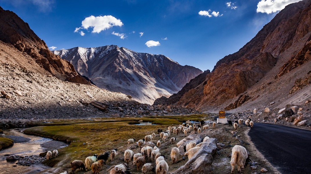 西藏阿里-班公湖