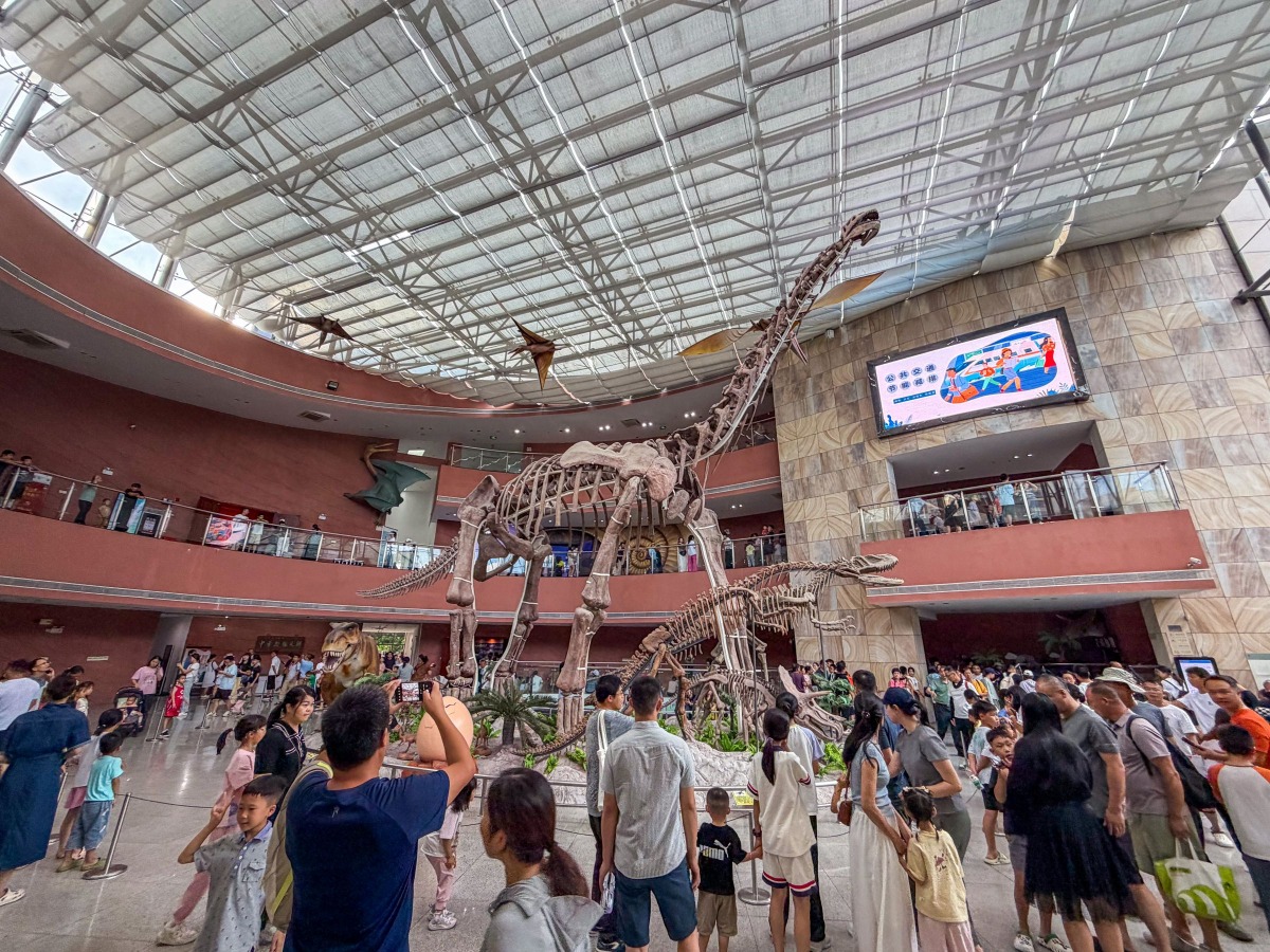 河源恐龍博物館中央大廳設置的夢幻恐龍模型 河源恐龍博物館中央大廳設置的夢幻恐龍模型
