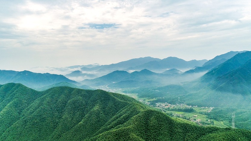 The Anji Bamboo Sea, Anji County, Huzhou, Zhejiang, a million-mu bamboo forest