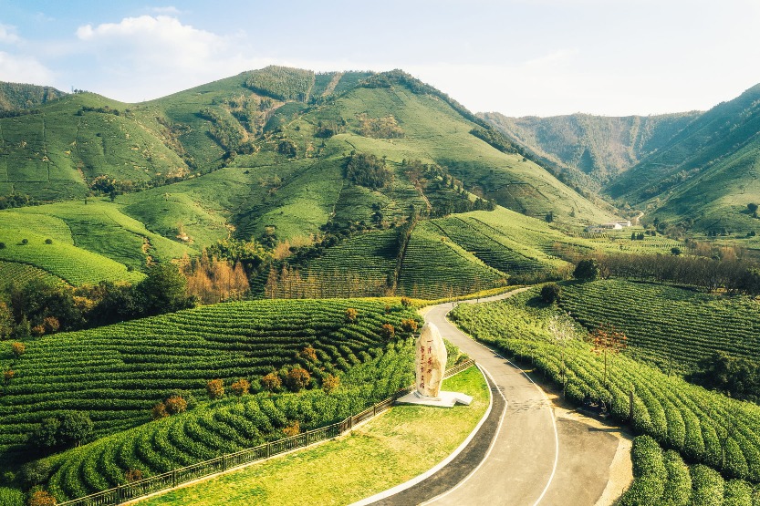 Huangdu Village, Xilong Township, Anji, the first village of Chinese white tea, with a ten-thousand-mu tea plantation