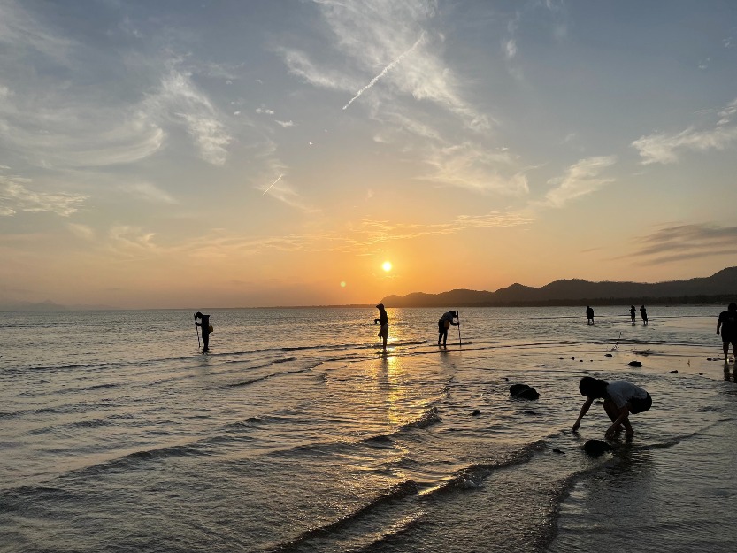 陸豐金廂灘日落風光醉人 陸豐金廂灘日落風光醉人