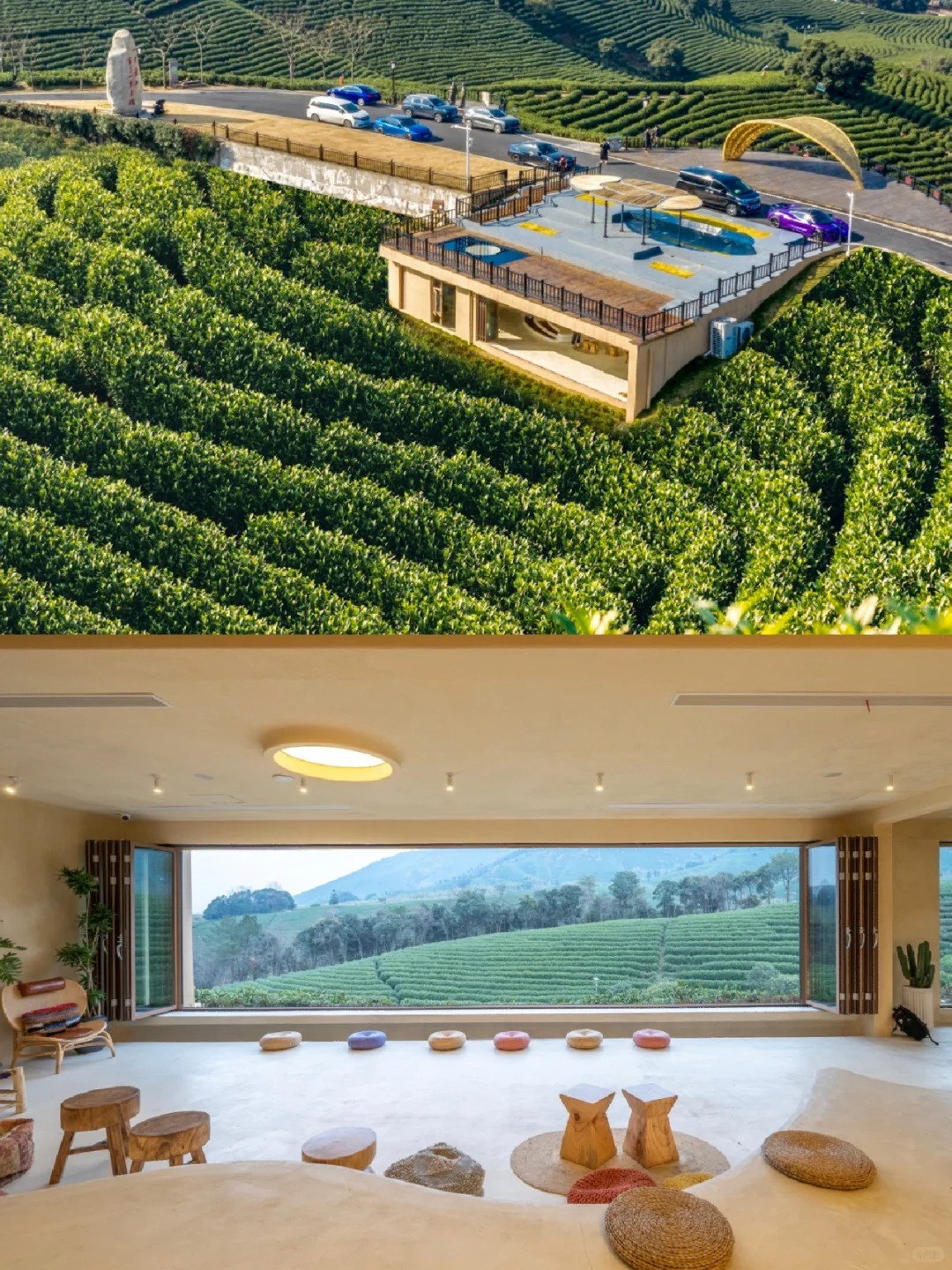 浙江安吉黃杜村的茶田景色