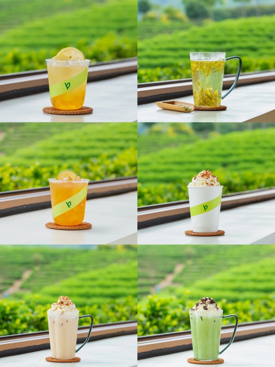 浙江安吉黃杜村的新式安吉白茶飲料