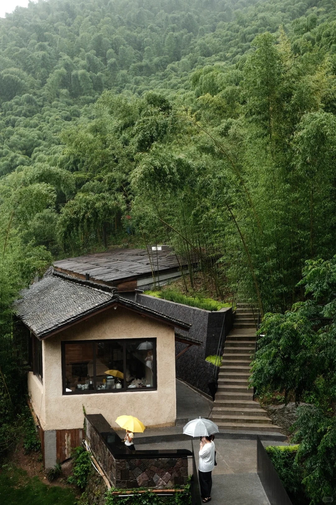 浙江安吉竹海咖啡店，雨中山野老屋