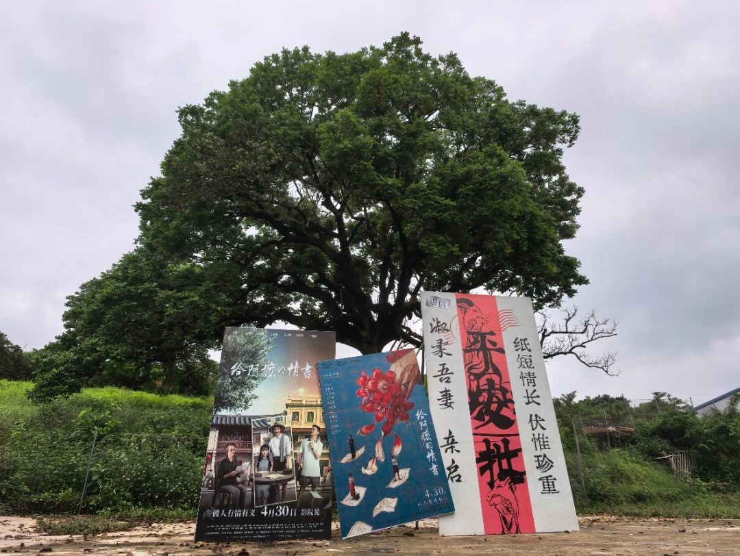 汕頭下寮村橄欖林 汕頭下寮村橄欖林