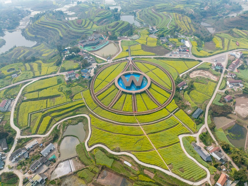 Aerial view of the pastoral scenery at the Wuliangye Grain and Oil Base in Xianlin Town, Yibin, Sichuan
