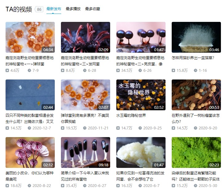 KOL曳尾菌04 KOL曳尾菌04
