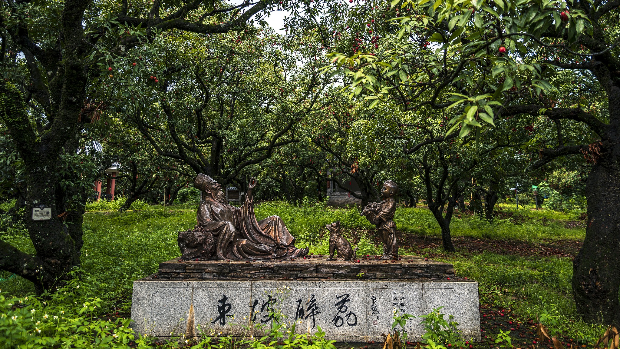 趣谈中国文化|荔枝本名离枝?“一啖荔枝三把火”指哪三把? | 文化百科 | 文化精华 | 当代中国