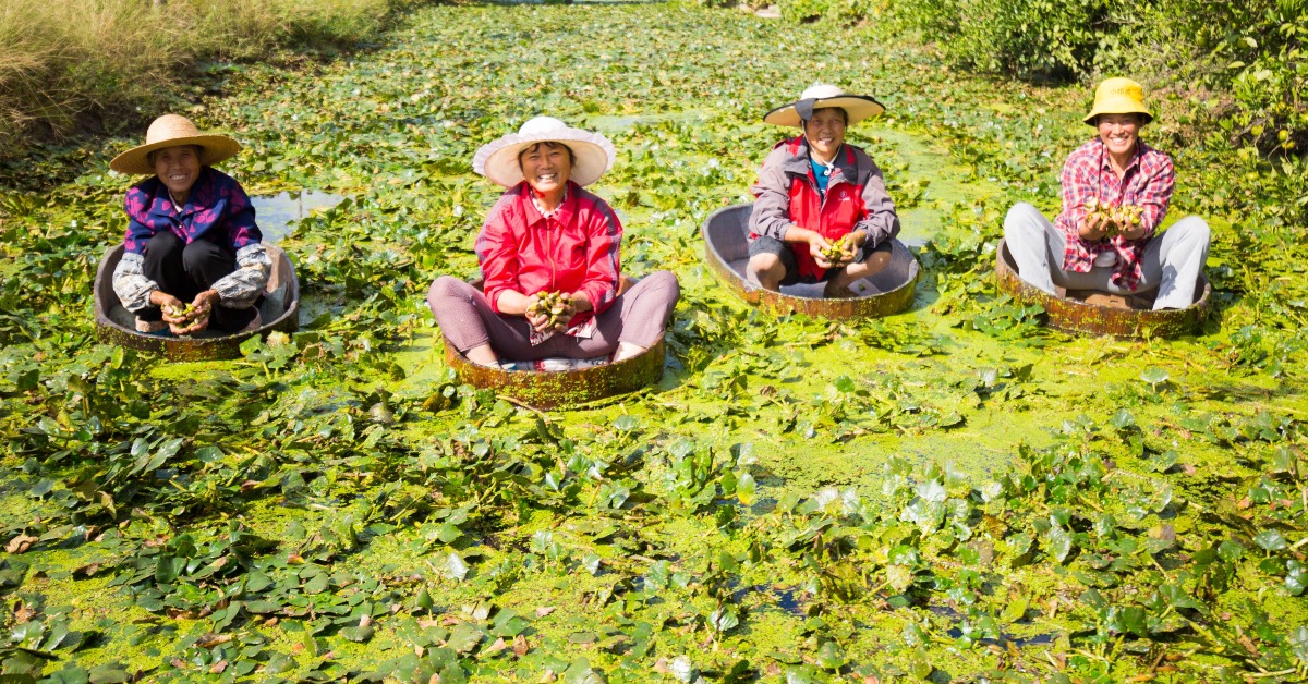 當代中國-改革開放-朱鎔基最頭痛的事情