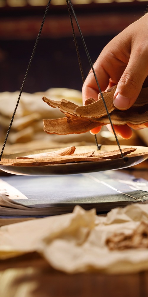 中医药发展历程和成果