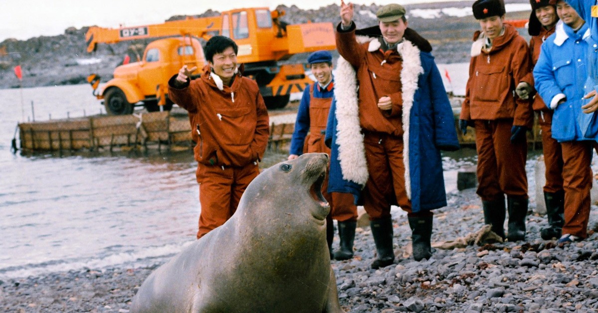 當代中國-中國科學-北極