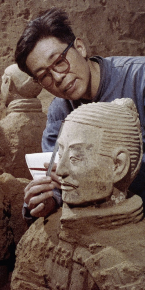 當代中國-中國文化-中國歷史-兵馬俑