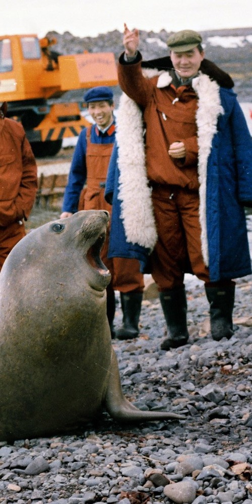 當代中國-中國科學-北極