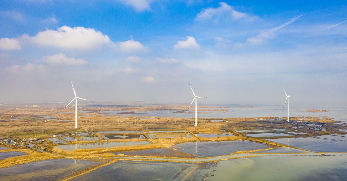 當代中國-中青時評-做「碳中和」的踐行