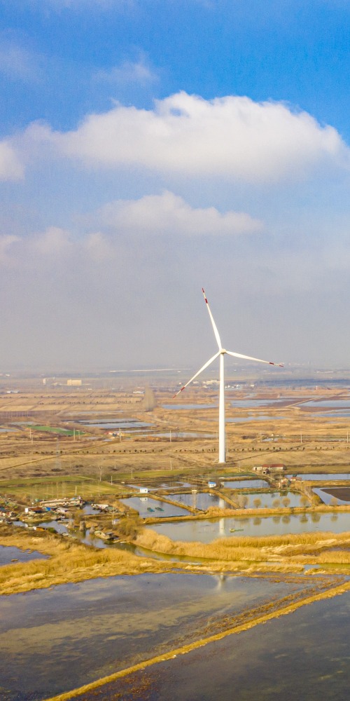 當代中國-中青時評-做「碳中和」的踐行