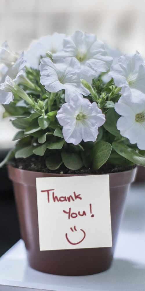 當代中國-名人-李焯芬人生導航感激三個人