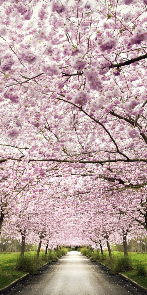 當代中國-名家-池田大作憶周恩來：他心裏只有人民