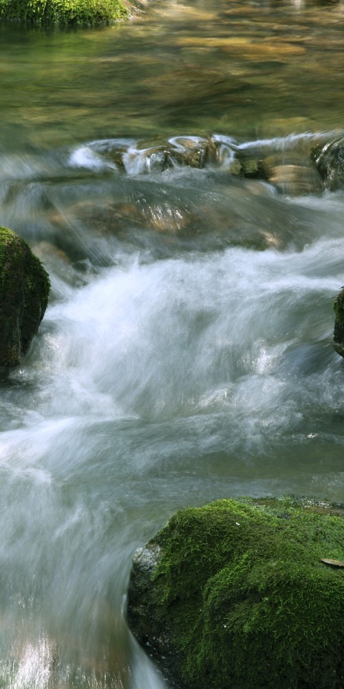当代中国-名家-李焯芬人生导航上善若水