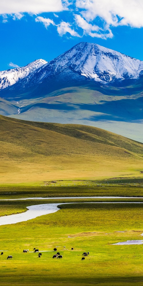 當代中國-名家-張信剛：去新疆童年夢想成真