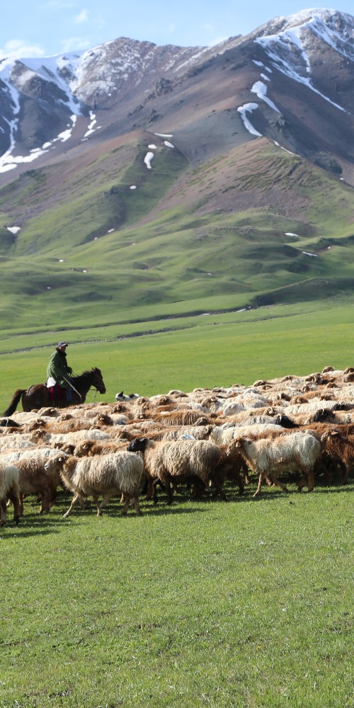 當代中國-名家-張信剛看伊寧霍爾果斯受惠「一帶一路」