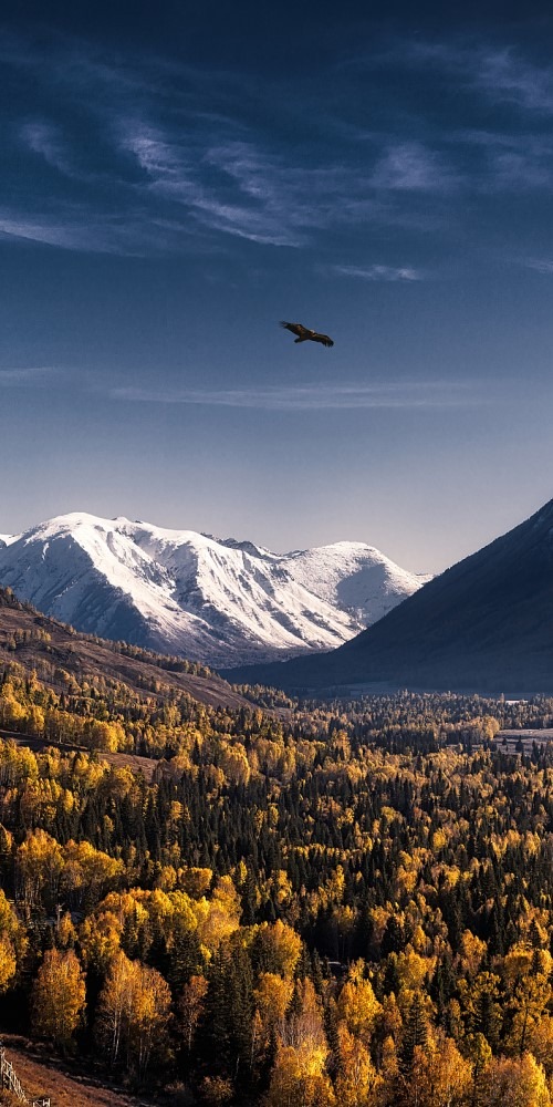 当代中国-名家-张信刚难忘阿勒泰图瓦人的神奇乐器演奏