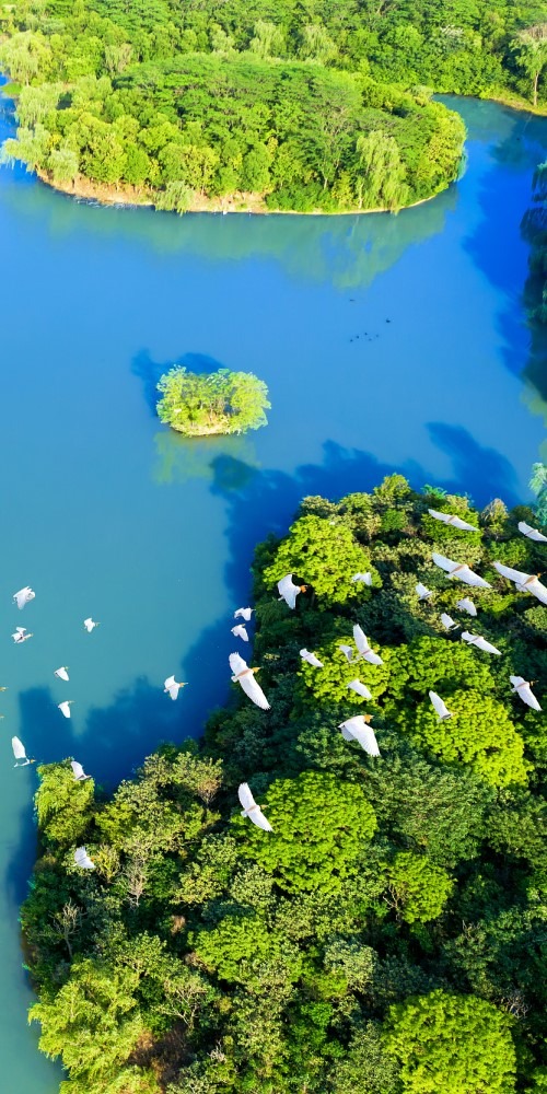 當代中國-新華網評-【環境保育】生物多樣性保護的中國實踐