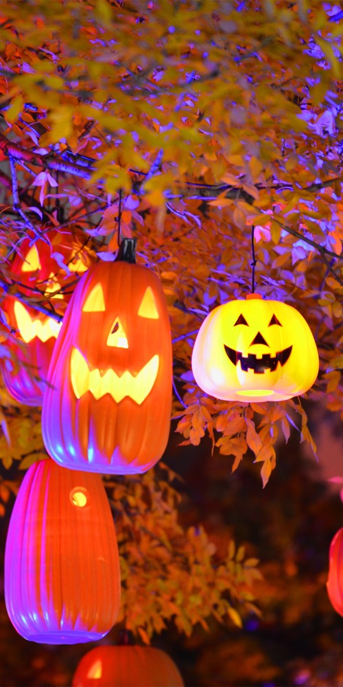 當代中國-名家-張信剛看中國傳統取代西方習俗？