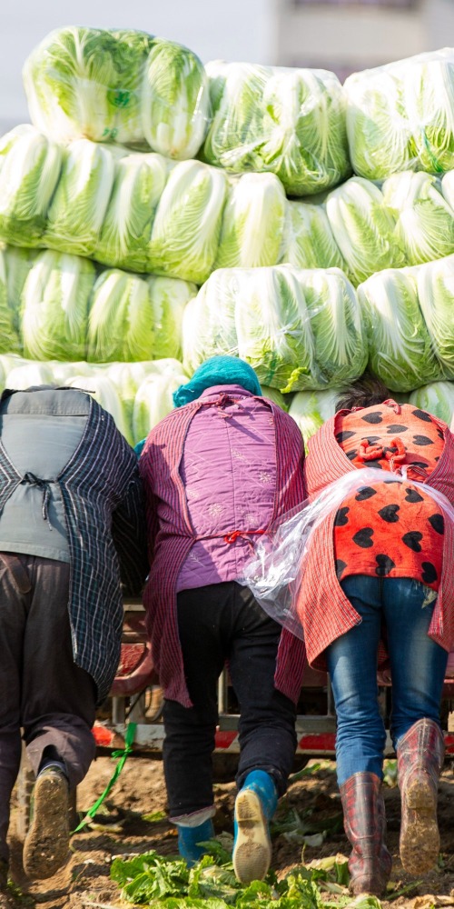 當代中國-名家-張維為：改革開放消除極端貧困中國只有相對貧困問題