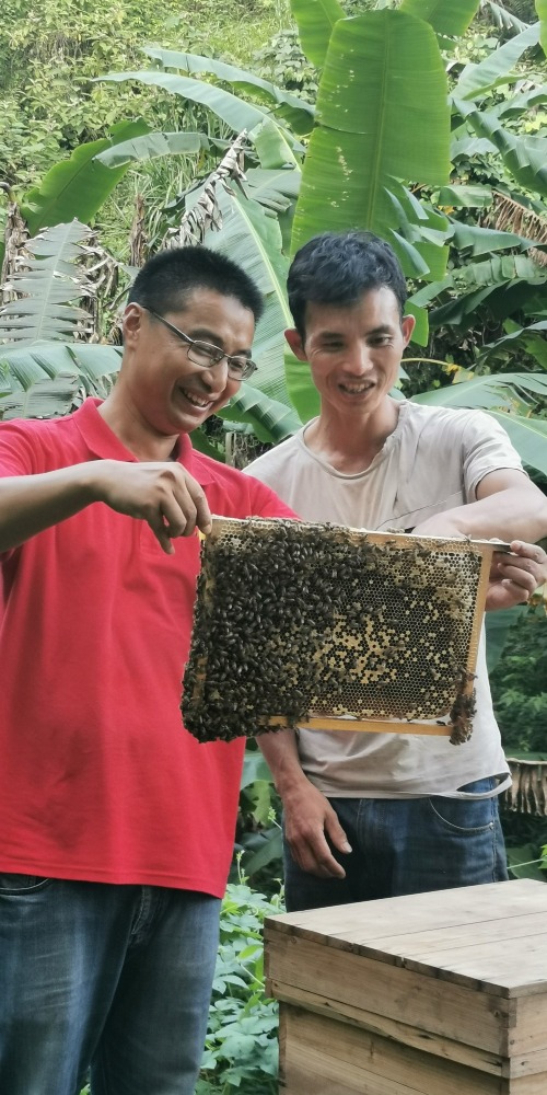 当代中国-新华网-脱贫基础更稳固乡村振兴开新局