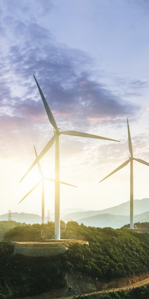 當代中國-新華網評-生態保育｜用實際行動踐行綠色發展理念