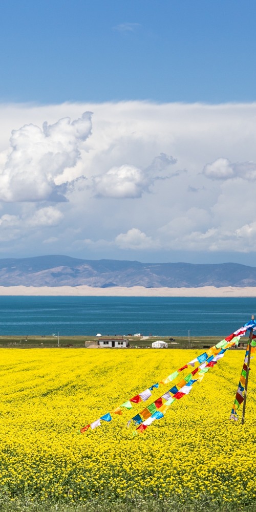 當代中國-名家-陳萬雄90年代闖內蒙古高原體驗另一種陌生文明