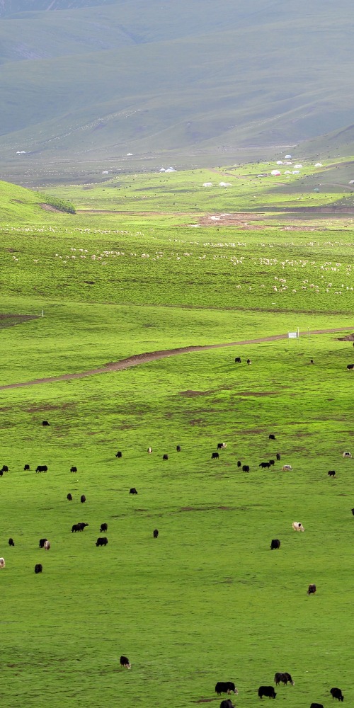 當代中國-名家-陳萬雄尋歷史足迹圓少年夢想