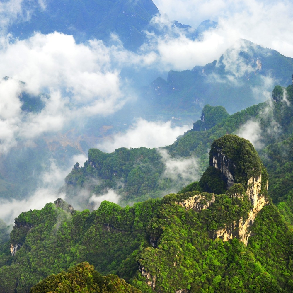 當代中國-央視快評-生態保育｜努力建設人與自然和諧共生的美麗中國