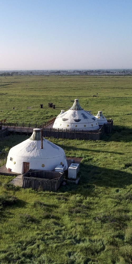 當代中國-名家-陳萬雄看土默川平原農牧文明攻戰主舞台