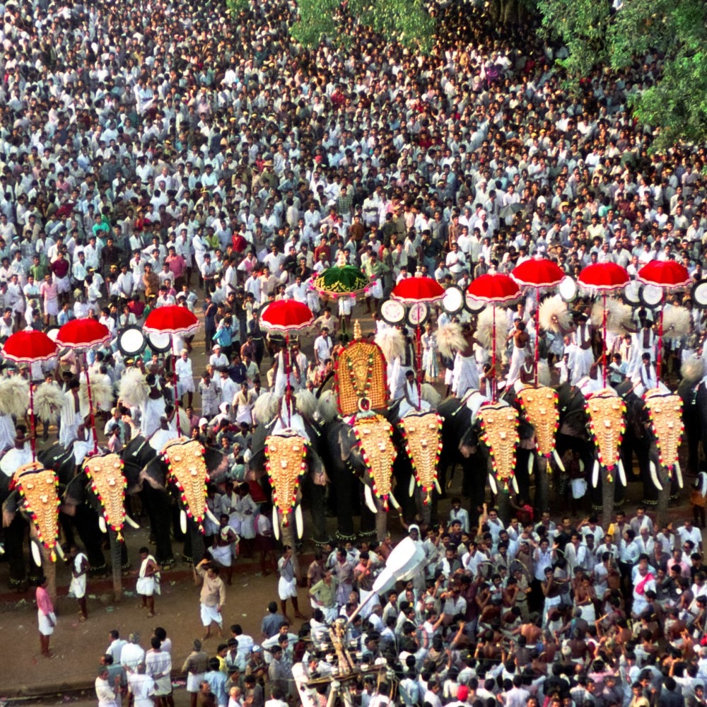 印度喀拉拉象神節慶(Thrissur Pooram Festival)