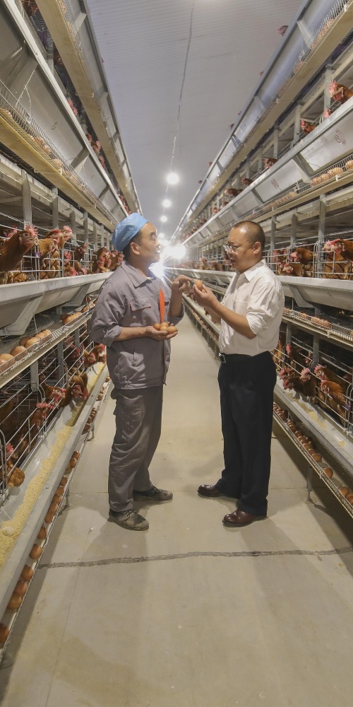 山東臨沂一間養殖企業的養殖場