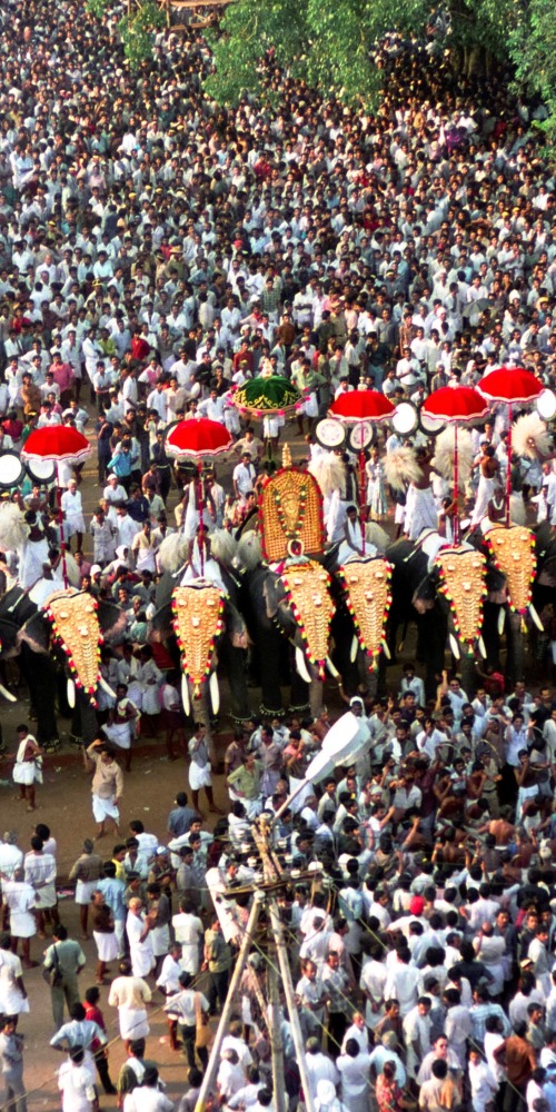 印度喀拉拉象神节庆(Thrissur Pooram Festival)