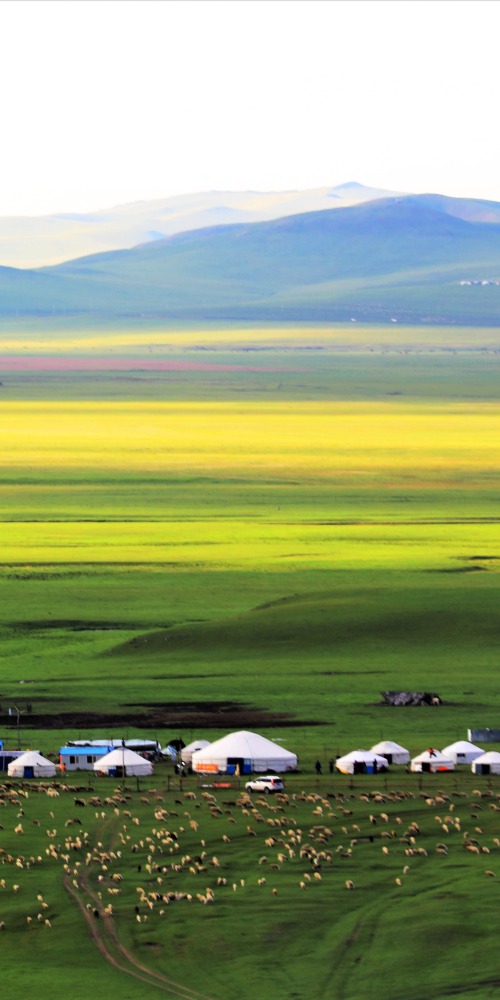 呼伦贝尔草原