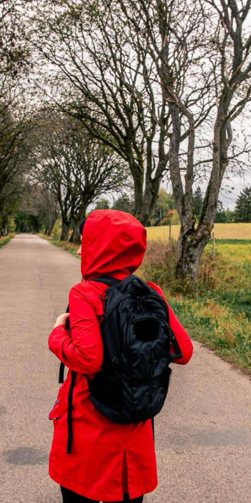 紅孩兒與小背包