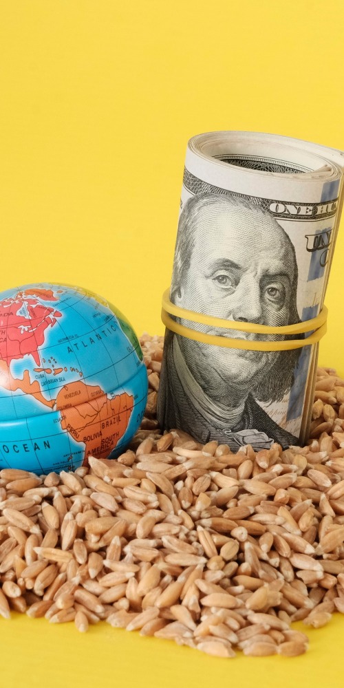 粮食是美元成为全球主要结算货币的重要基础